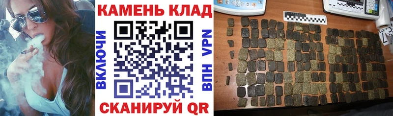 MEGA как войти  Кашин  ГАШ Изолятор 