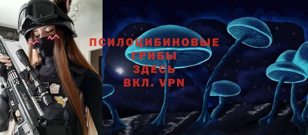 круглые Алзамай