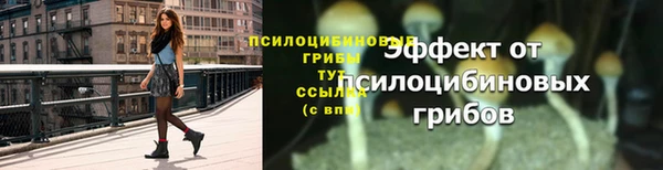крисы Семилуки